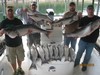 (08/20/2016) - Nice Striped Bass